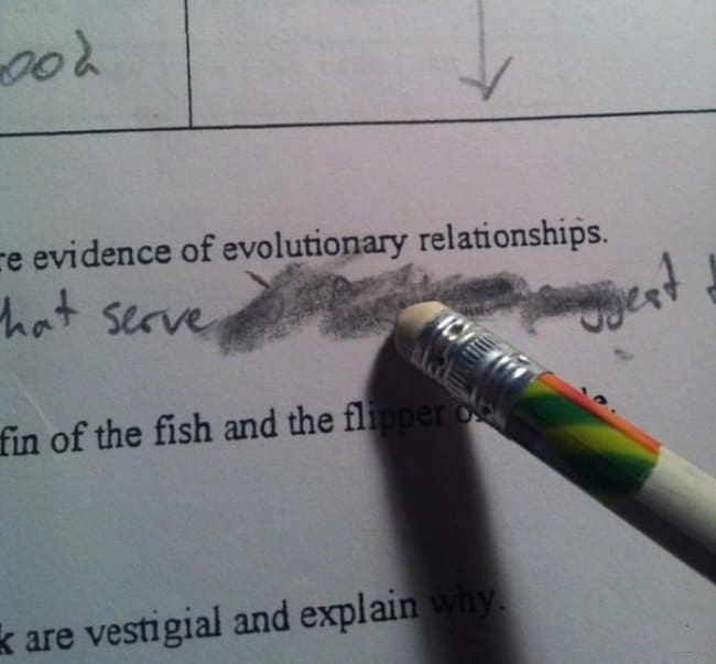 Kejadian Menyebalkan